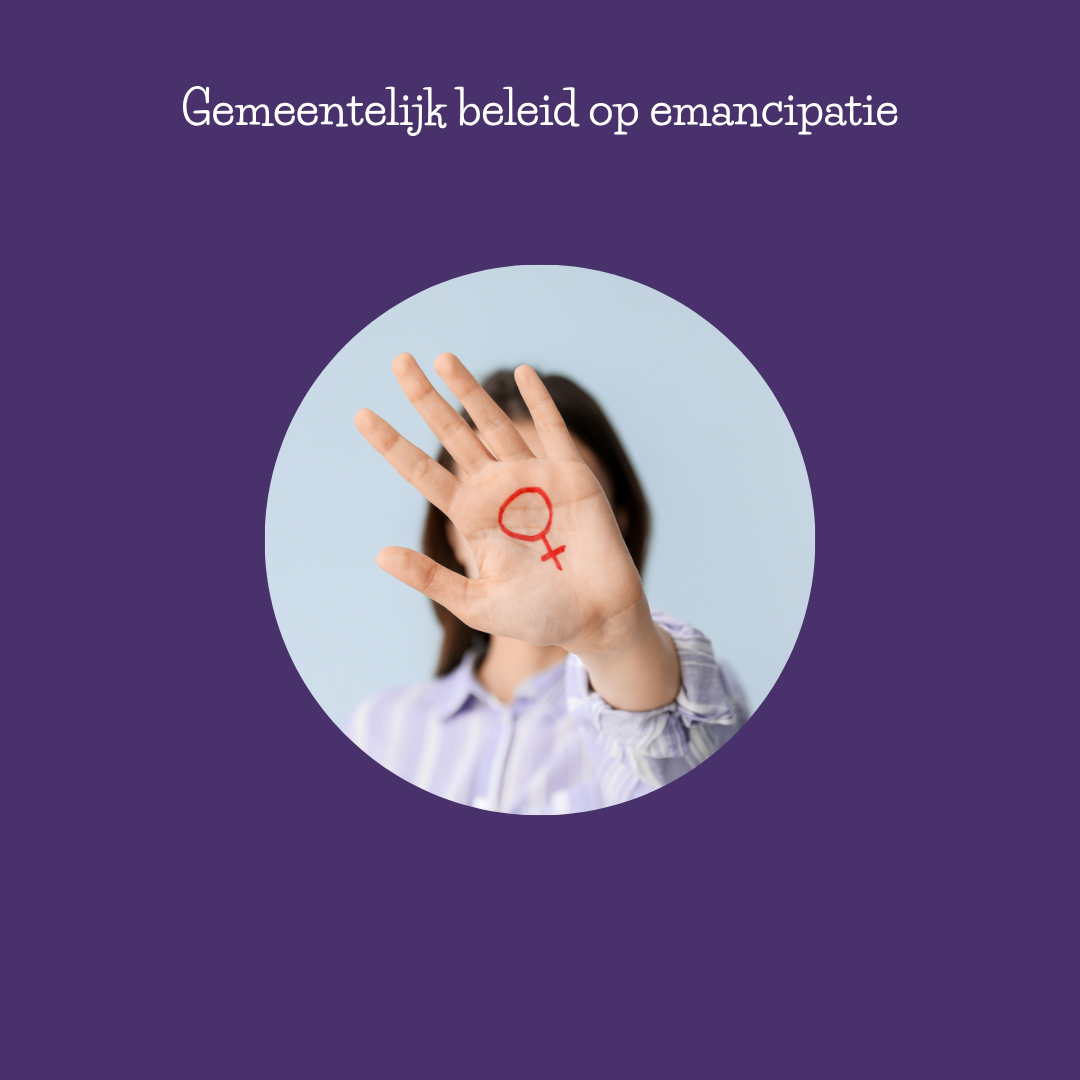 emancipatiebeleid bij gemeenten-2 emancipatiebeleid bij gemeenten-2